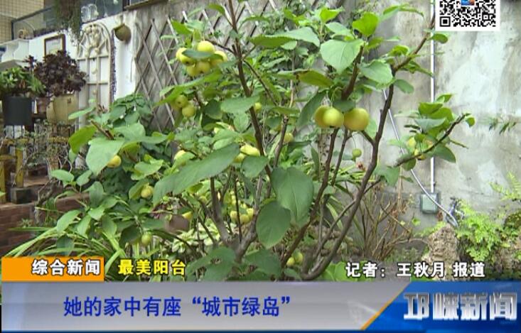 【20180814】她的家中有座“城市绿岛”