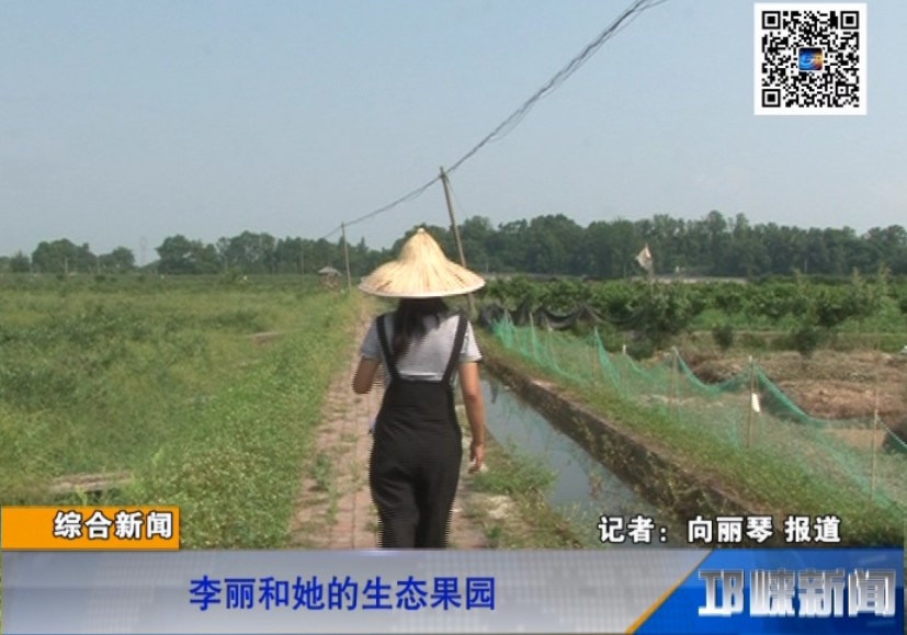 【20180816】李丽和她的生态果园