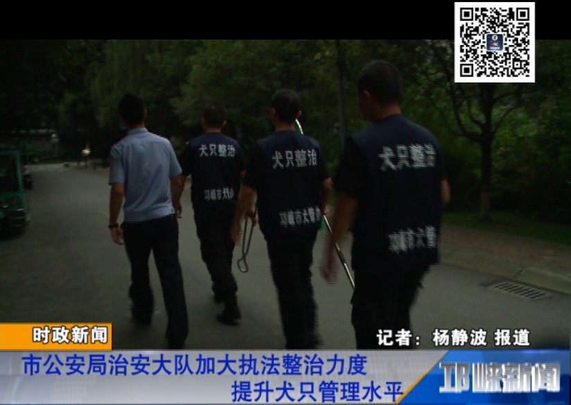 【20180918】市公安局治安大队加大执法整治力度 提升犬只管理水平