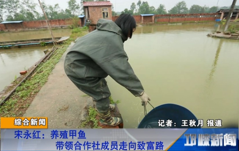 【20181011】宋永红：养殖甲鱼 带领合作社成员走向致富路