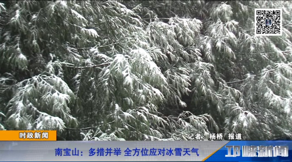 【20190103】南宝山：多措并举 全方位应对冰雪天气.