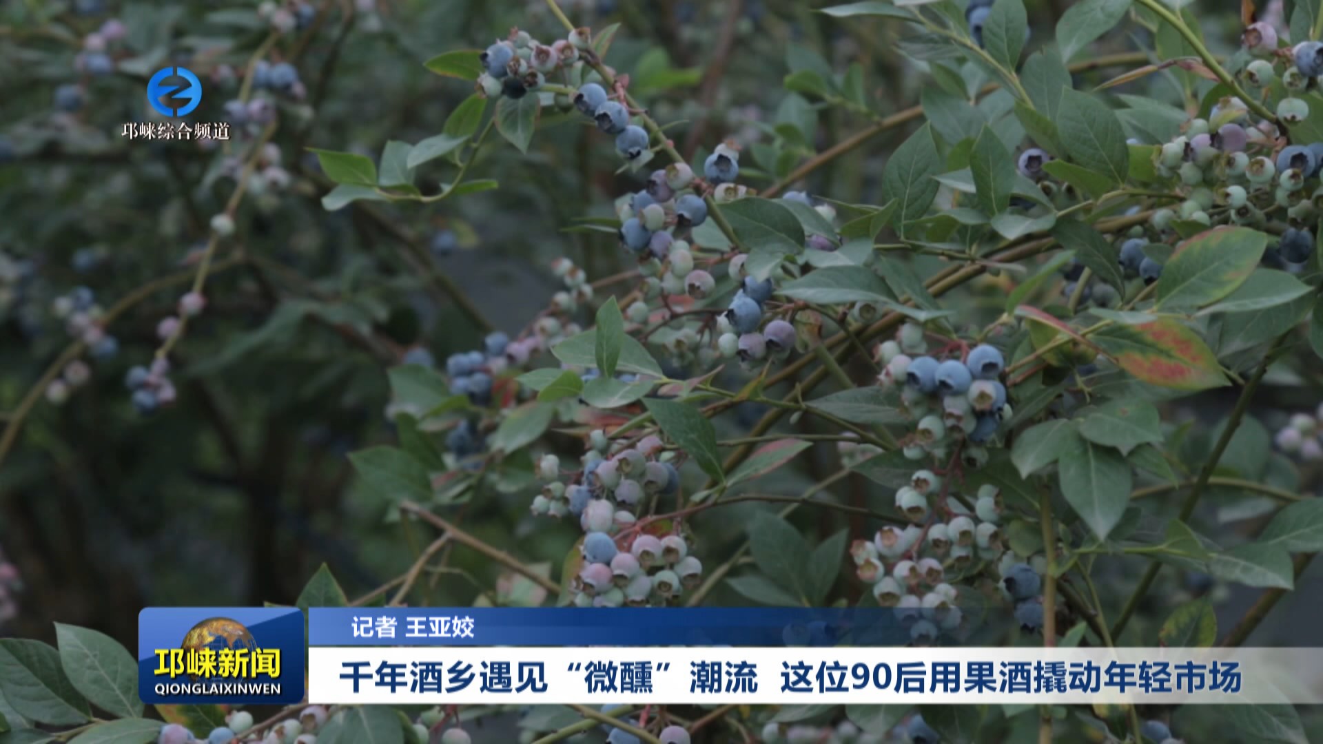 【20250609】千年酒乡遇见“微醺”潮流 这位90后用果酒撬动年轻市场