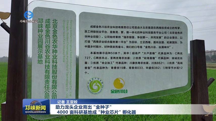 【20250625】助力龙头企业育出“金种子” 4000亩科研基地成“种业芯片”孵化器