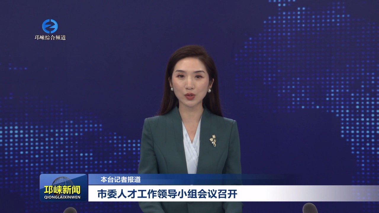 【20250708】市委人才工作领导小组会议召开