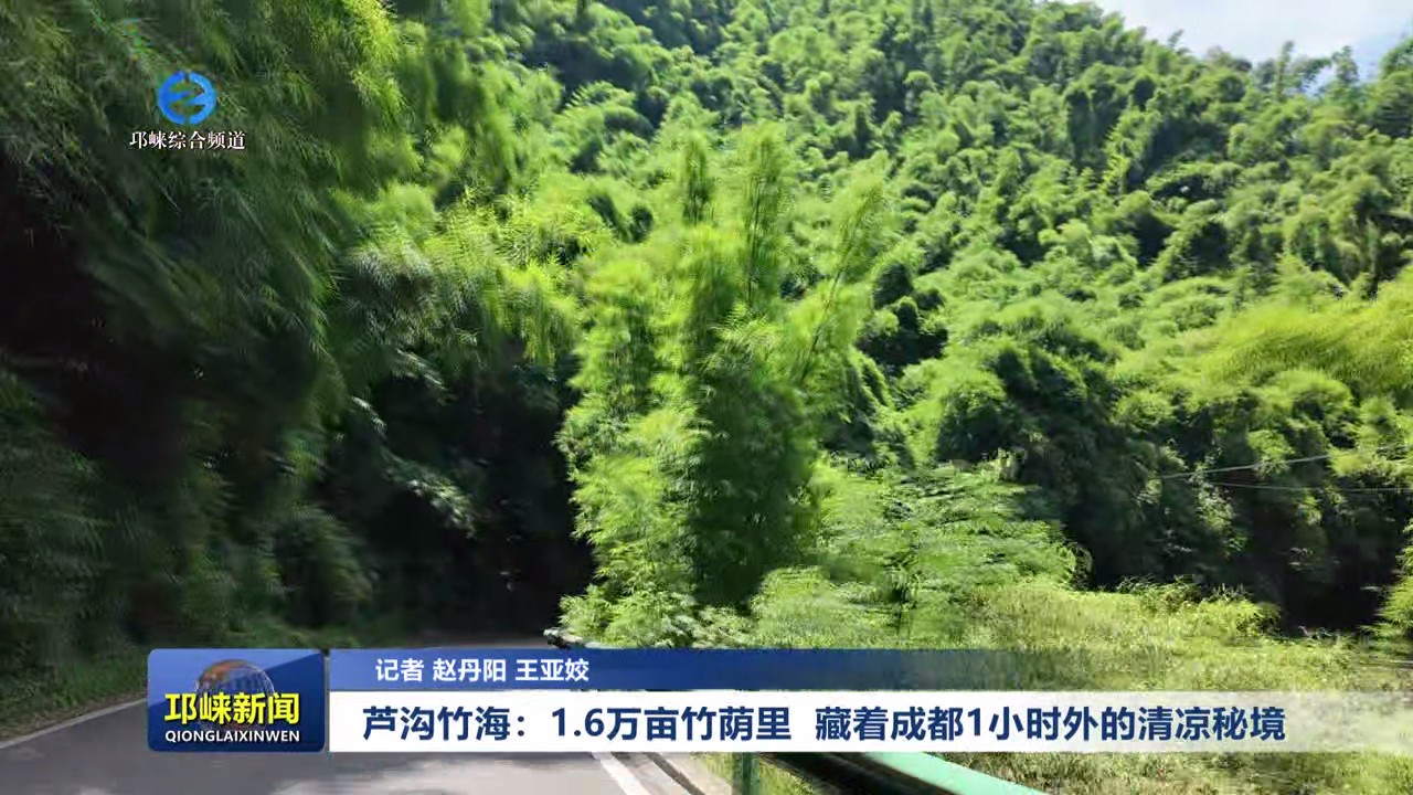 【20250729】芦沟竹海：1.6万亩竹荫里 藏着成都1小时外的清凉秘境