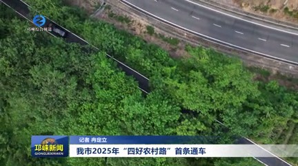 【20250804】我市2025年“四好农村路”C614黄土路改建工程竣工通车