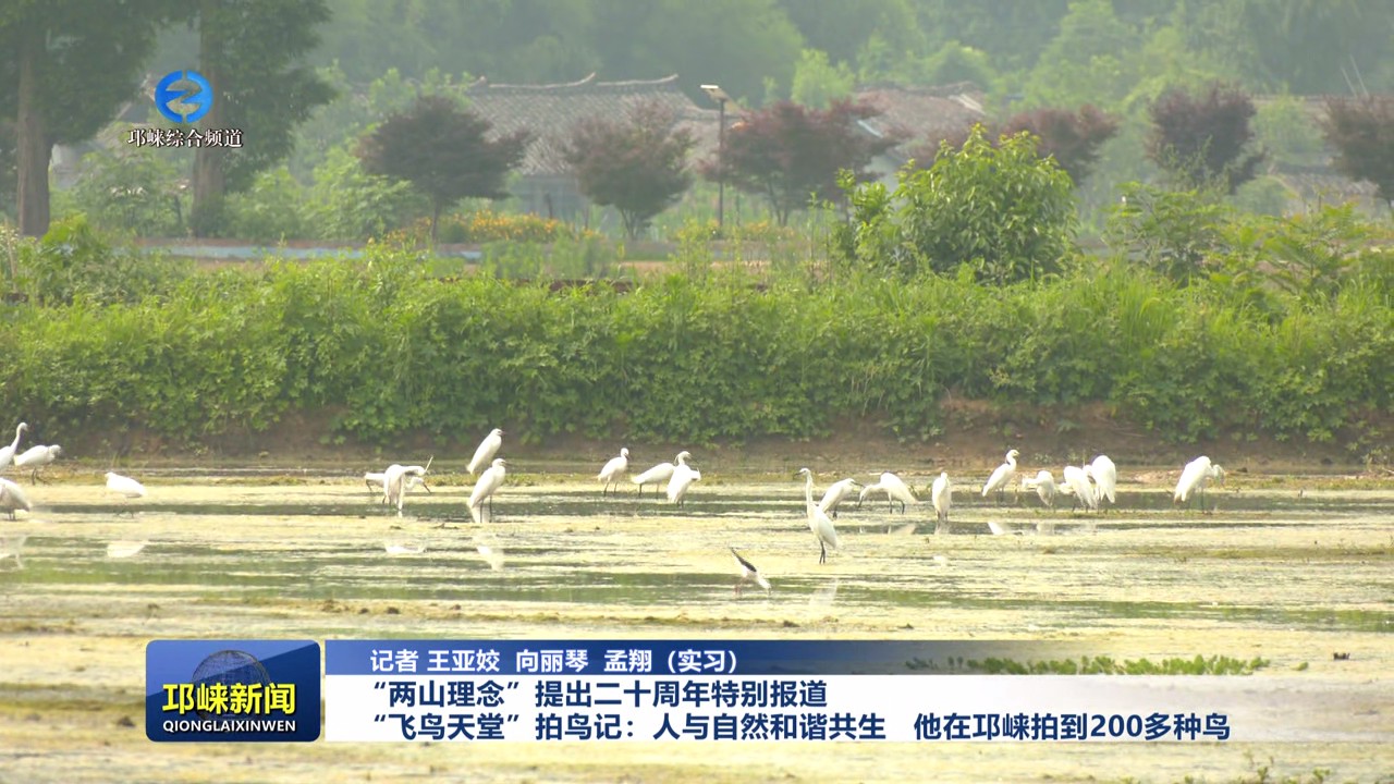 【20250814】“两山理念”提出二十周年特别报道 “飞鸟天堂”拍鸟记：人与自然