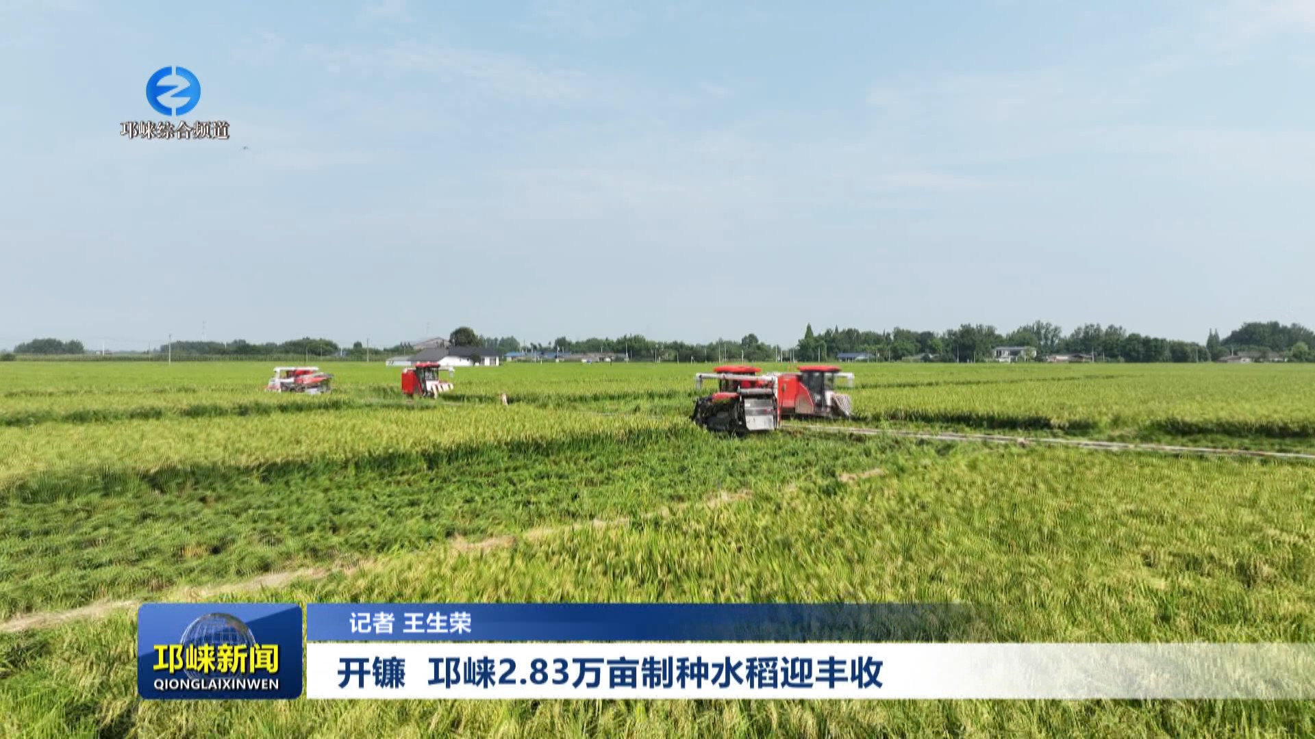 【20250815】开镰 邛崃2.83万亩制种水稻迎丰收
